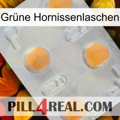 Grüne Hornissenlaschen 24